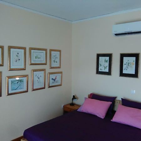 Mia'S Atelier, Balcony To Acropolis Apartamento Atenas Exterior foto